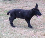 Small #9 Breeder Profile image