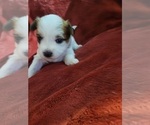 Small #110 Breeder Profile image