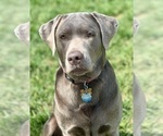 Small #16 Breeder Profile image