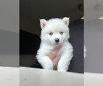 Small #5 Breeder Profile image
