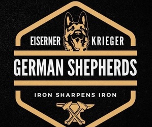 German Shepherd Dog Dog Breeder near CORDOVA, TN, USA