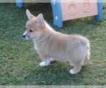 Small #2 Breeder Profile image
