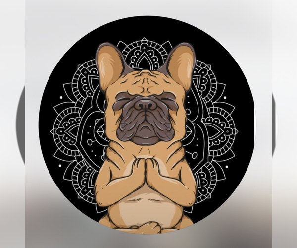 Medium Photo #1  Breeder Profile in WALDORF, MD, USA