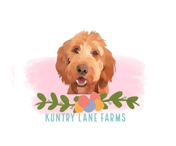 Medium Photo #1  Breeder Profile in AMBROSE, GA, USA