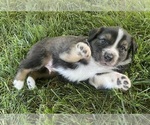 Small #10 Breeder Profile image