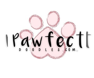 Double Doodle Dog Breeder near PIERSON, FL, USA