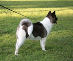 Small #1 Breeder Profile image