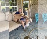 Small #1 Breeder Profile image
