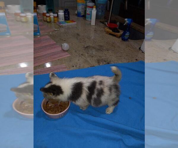 Medium Photo #1  Breeder Profile in MYRTLE BEACH, SC, USA