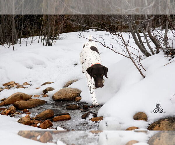 Medium Photo #10  Breeder Profile in EVANSVILLE, WY, USA