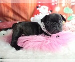 Small #2 Breeder Profile image