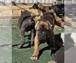 Small #8 Breeder Profile image