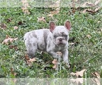 Small #11 Breeder Profile image
