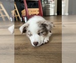 Small #23 Breeder Profile image