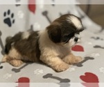 Small #2 Breeder Profile image