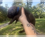 Small #5 Breeder Profile image