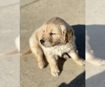 Small #2 Breeder Profile image
