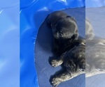 Small #5 Breeder Profile image