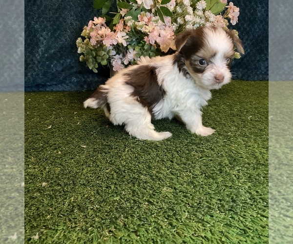 Medium Photo #1  Breeder Profile in DELTA, CO, USA