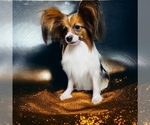 Small #8 Breeder Profile image
