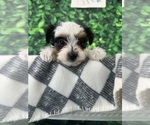 Small #8 Breeder Profile image