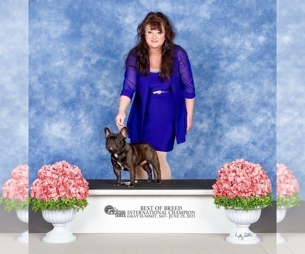 Medium Photo #1  Breeder Profile in BOLIVAR, MO, USA