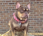 Small #2 Breeder Profile image