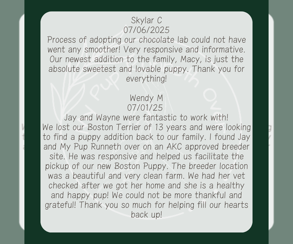 Medium Photo #8  Breeder Profile in GOSHEN, IN, USA