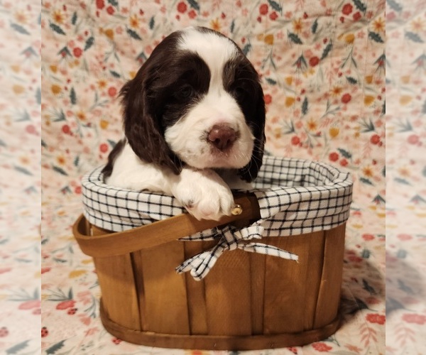 Medium Photo #1  Breeder Profile in WEST FULTON, NY, USA