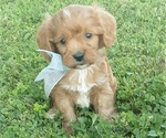 Small #23 Breeder Profile image