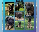 Small #22 Breeder Profile image