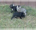 Small #2 Breeder Profile image
