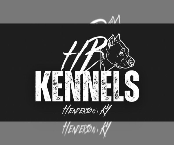 Medium Photo #1  Breeder Profile in HENDERSON, KY, USA