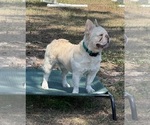 Small #2 Breeder Profile image