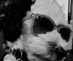 Small #29 Breeder Profile image