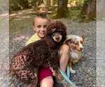 Small #2 Breeder Profile image