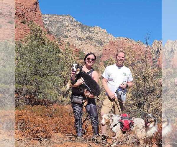 Medium Photo #1  Breeder Profile in PHOENIX, AZ, USA