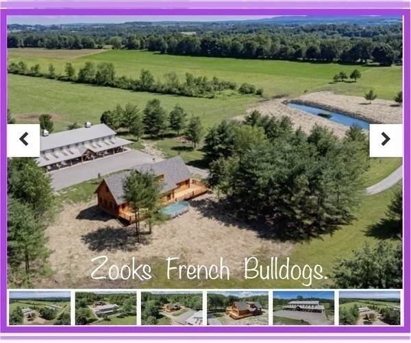 Medium Photo #1  Breeder Profile in FORT PLAIN, NY, USA