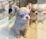 Small #17 Breeder Profile image
