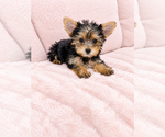 Small #5 Breeder Profile image