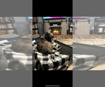 Small #5 Breeder Profile image