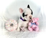 Small #2 Breeder Profile image