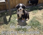 Small #20 Breeder Profile image