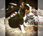 Small #17 Breeder Profile image