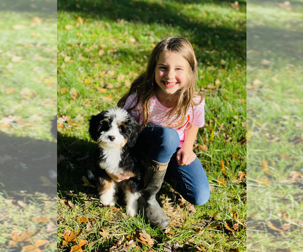 Medium Photo #1  Breeder Profile in OREGON CITY, OR, USA