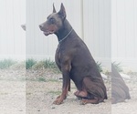 Small #8 Breeder Profile image
