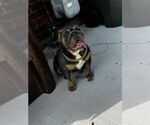 Small #1 Breeder Profile image
