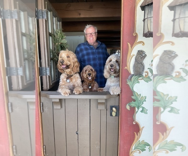 Medium Photo #3  Breeder Profile in MARINA DEL REY, CA, USA