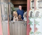 Small #2 Breeder Profile image