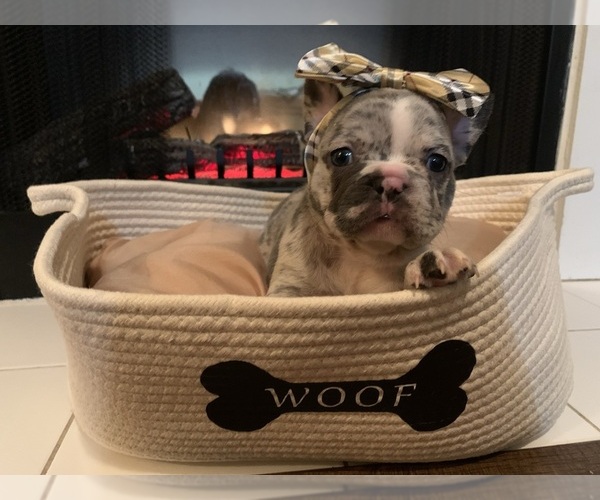 Medium Photo #1  Breeder Profile in GROVETOWN, GA, USA